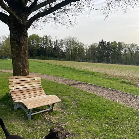 Hallelujah - Entspannung Pur In Dieser Schoenen Mit Anbindung An Therme *